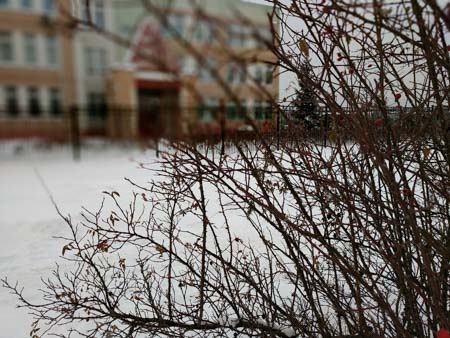 450x338  52 KB. Big one: 2592x1944  2202 KB