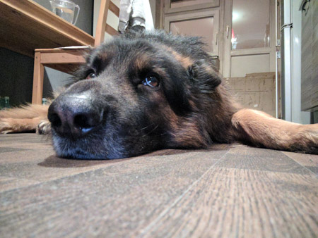 450x338  55 KB. Big one: 3264x2448  2899 KB