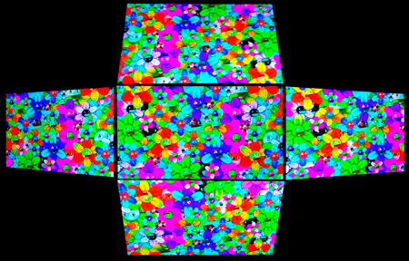 450x288  184 KB. Big one: 863x553  573 KB