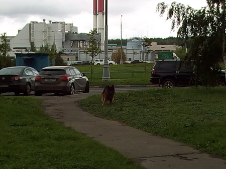 450x338  55 KB. Big one: 3264x2448  1707 KB