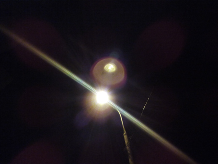 450x338  46 KB. Big one: 3264x2448  1344 KB