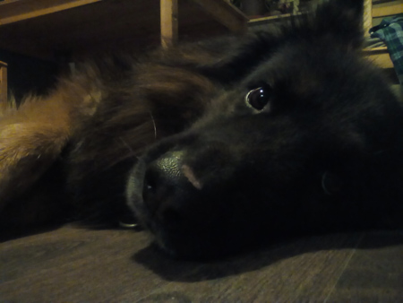 450x338  54 KB. Big one: 2560x1920  642 KB