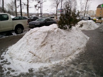 337x253  100 KB. Big one: 4160x3120  3996 KB