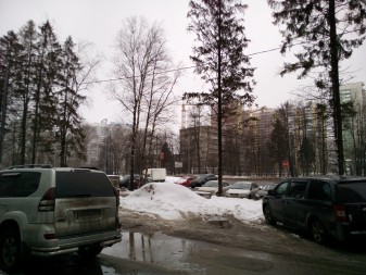 337x253  101 KB. Big one: 4160x3120  4450 KB