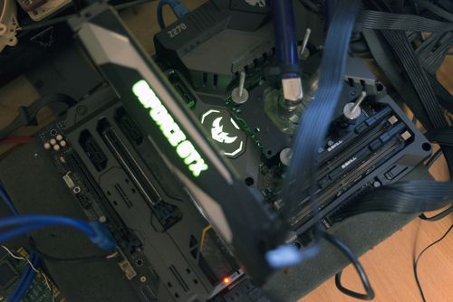 500x334  36 KB. Big one: 2500x1668  646 KB