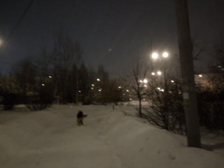 450x338  56 KB. Big one: 4160x3120  2235 KB