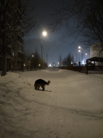 338x450  45 KB. Big one: 3120x4160  2342 KB