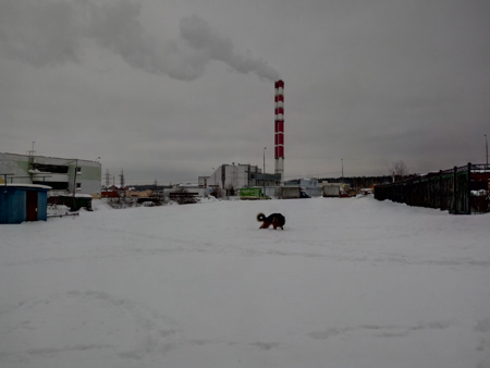 450x338  44 KB. Big one: 4160x3120  3319 KB