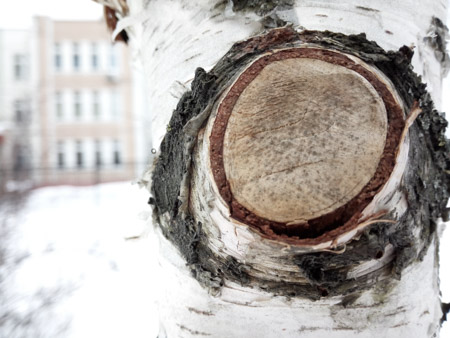 450x338  52 KB. Big one: 4160x3120  3834 KB