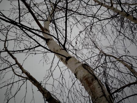 450x338  59 KB. Big one: 4160x3120  4725 KB