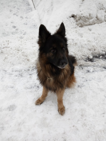 338x450  51 KB. Big one: 3120x4160  3130 KB