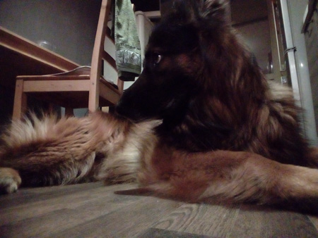 450x338  60 KB. Big one: 2560x1920  1846 KB