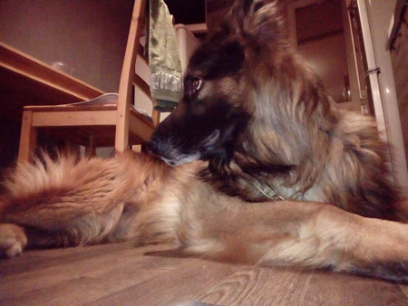 450x338  51 KB. Big one: 2560x1920  1938 KB