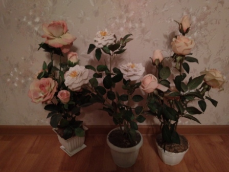 448x336  65 KB. Big one: 4160x3120  4727 KB