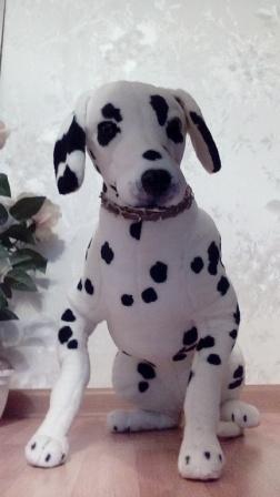 252x448  23 KB. Big one: 1728x3072  1176 KB