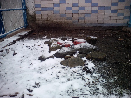 450x337  76 KB. Big one: 3264x2448  1946 KB