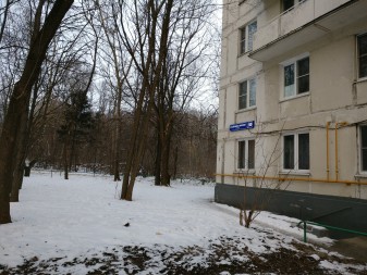 337x253  226 KB. Big one: 4640x3480  8775 KB