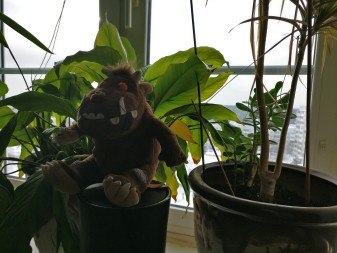 337x253  214 KB. Big one: 4640x3480  3427 KB