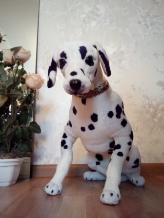 336x447  62 KB. Big one: 1936x2576  1433 KB