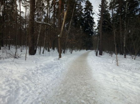 448x332  78 KB. Big one: 4208x3120  4436 KB