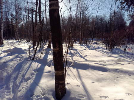 450x336  63 KB. Big one: 5488x4096  10018 KB