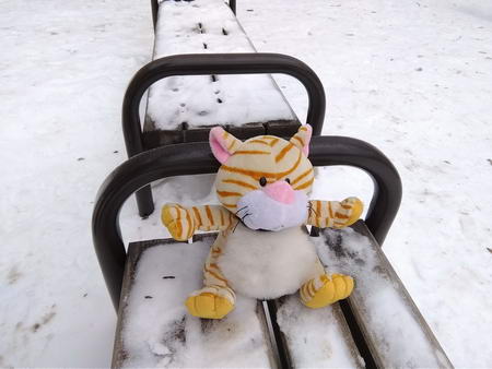 450x338  38 KB. Big one: 3264x2448  3597 KB