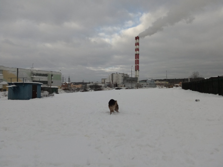 450x338  48 KB. Big one: 3264x2448  1272 KB