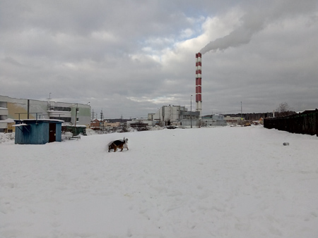 450x338  54 KB. Big one: 3264x2448  1528 KB