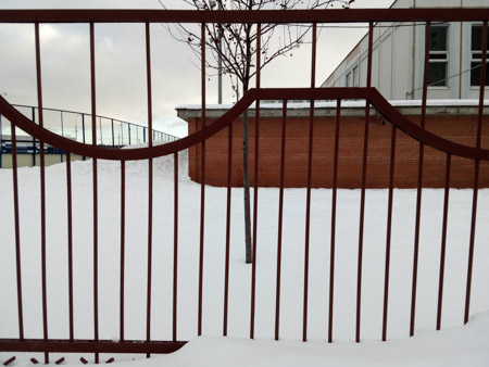 450x338  48 KB. Big one: 3264x2448  1922 KB