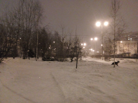 450x338  53 KB. Big one: 3264x2448  2706 KB