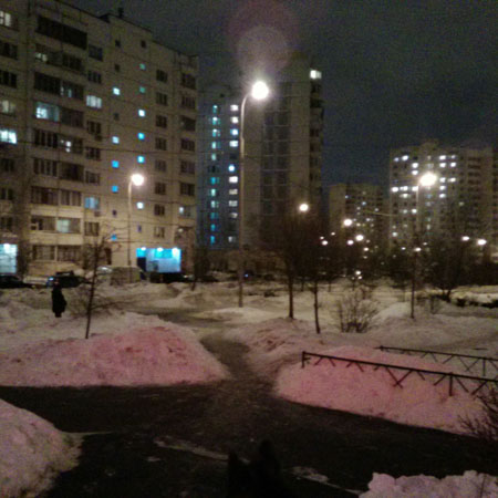 450x450  48 KB. Big one: 1944x1944  1533 KB