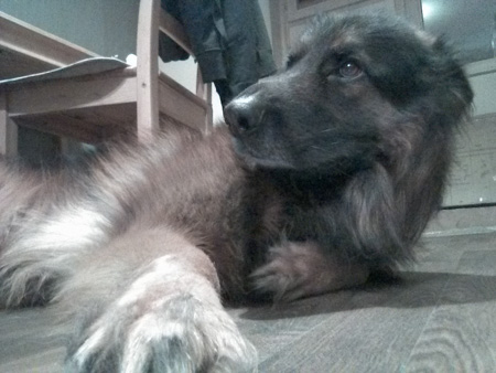 450x338  58 KB. Big one: 1600x1200  552 KB