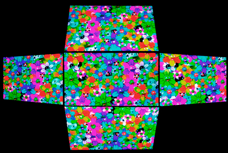 450x303  179 KB. Big one: 950x639  628 KB