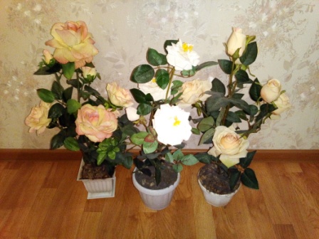 448x336  72 KB. Big one: 4160x3120  6695 KB