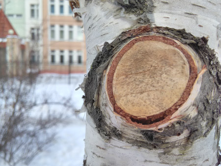 450x338  55 KB. Big one: 3264x2448  1979 KB