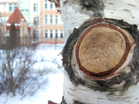 450x338  56 KB. Big one: 3264x2448  2370 KB