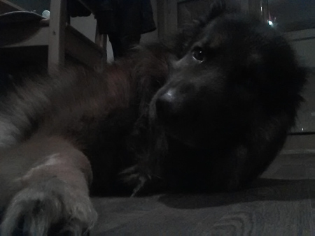 450x338  49 KB. Big one: 1600x1200  221 KB