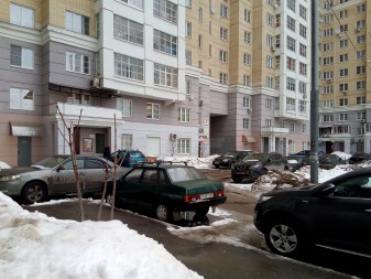 337x253  101 KB. Big one: 3264x2448  3385 KB