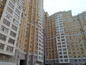 337x253  102 KB. Big one: 3264x2448  3654 KB