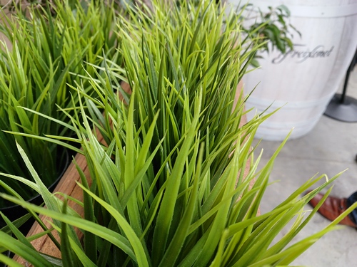 500x375  168 KB. Big one: 5056x3792  6960 KB