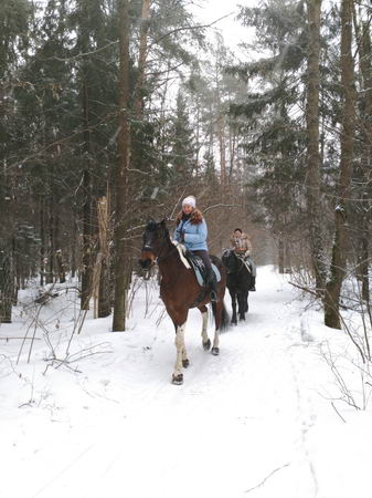 337x450  60 KB. Big one: 4112x5488  8687 KB