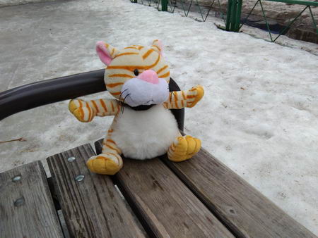 450x338  46 KB. Big one: 3264x2448  3542 KB