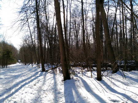 450x337  66 KB. Big one: 5488x4112  11780 KB