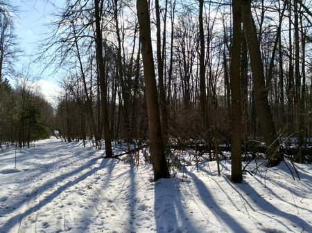 450x337  67 KB. Big one: 5488x4112  10823 KB