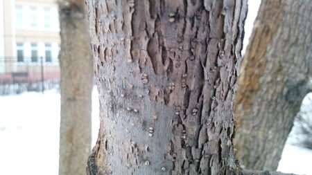 450x253  54 KB. Big one: 3328x1872  2224 KB