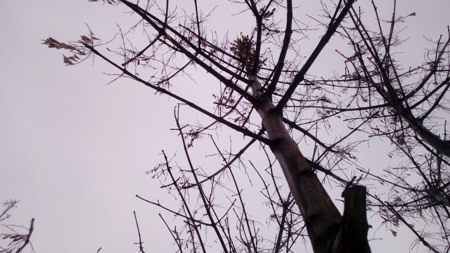 450x253  59 KB. Big one: 3328x1872  2308 KB