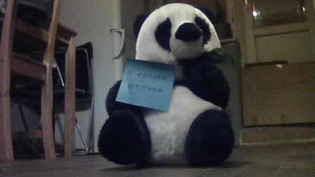 450x253  55 KB. Big one: 512x288  78 KB