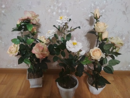 448x336  72 KB. Big one: 4160x3120  4545 KB