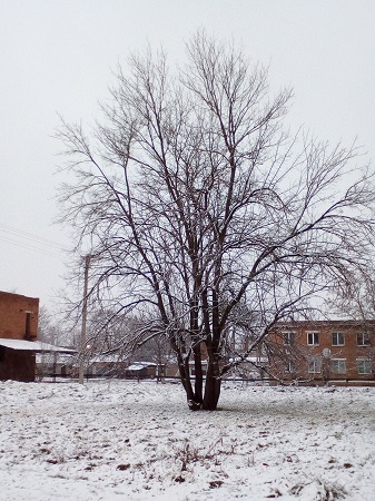 337x450  149 KB. Big one: 1920x2560  2751 KB