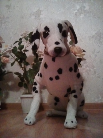 336x448  58 KB. Big one: 1920x2560  1340 KB